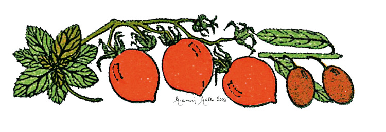 Ingredienti Pesto Rosso